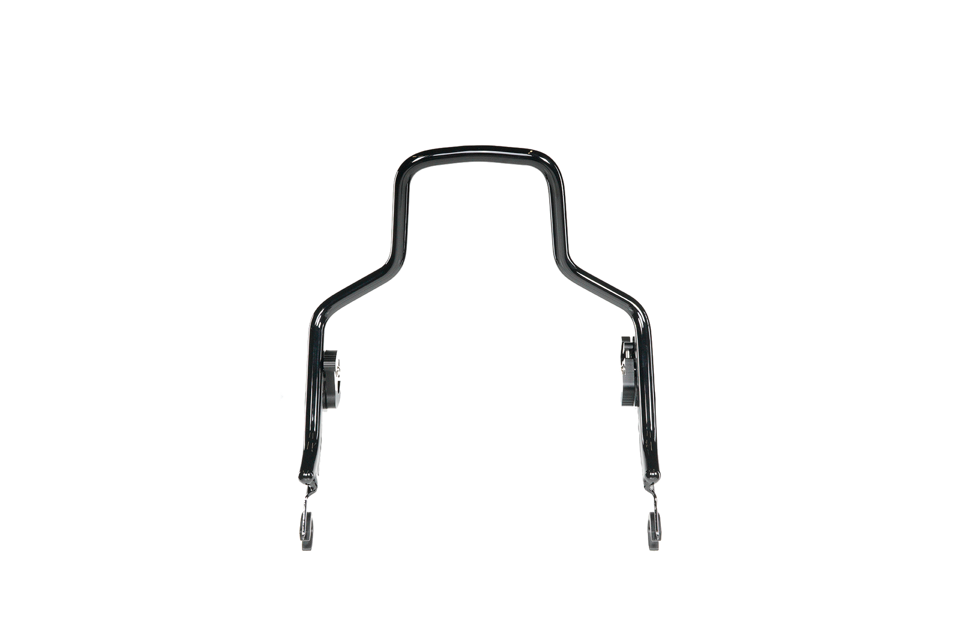 Sissy Bar + Pad