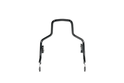 Sissy Bar + Pad