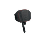 CVO Backrest 2023.5 and UP
