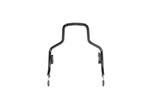 Sissy Bar + Pad