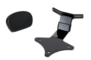2007 and Up Softtail Standard